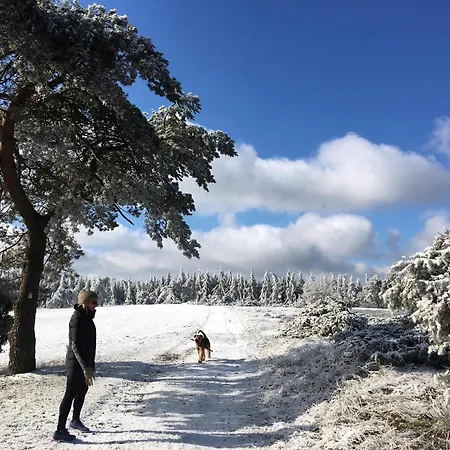 Oak Tree, Modernes Eifel Mit Sauna Und Whirlpool, Umgeben Von Wunderschoener *