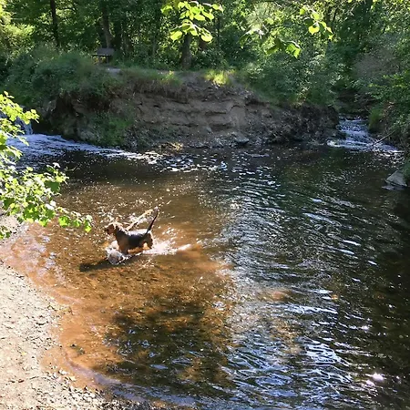 Oak Tree, Modernes Eifel Mit Sauna Und Whirlpool, Umgeben Von Wunderschoener